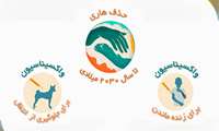 رئیس دانشگاه: افزایش موارد حیوان گزیدگی و فوت 3 نفر در البرز